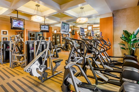 a gym with cardio equipment and a lot of weights