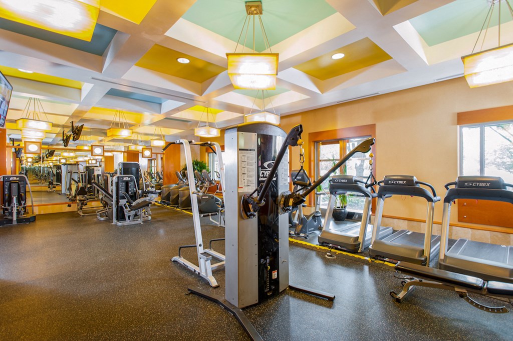 a gym with cardio equipment and weights on the floor