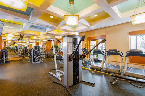 a gym with cardio equipment and weights on the floor