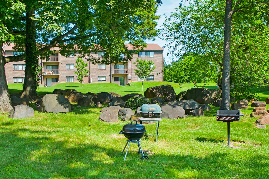 a picnic area with a grill and a barbecue in the grass