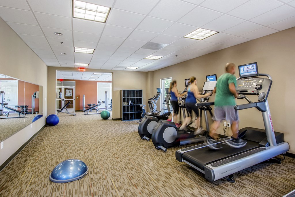 a gym with people on treadmills and other exercise equipment