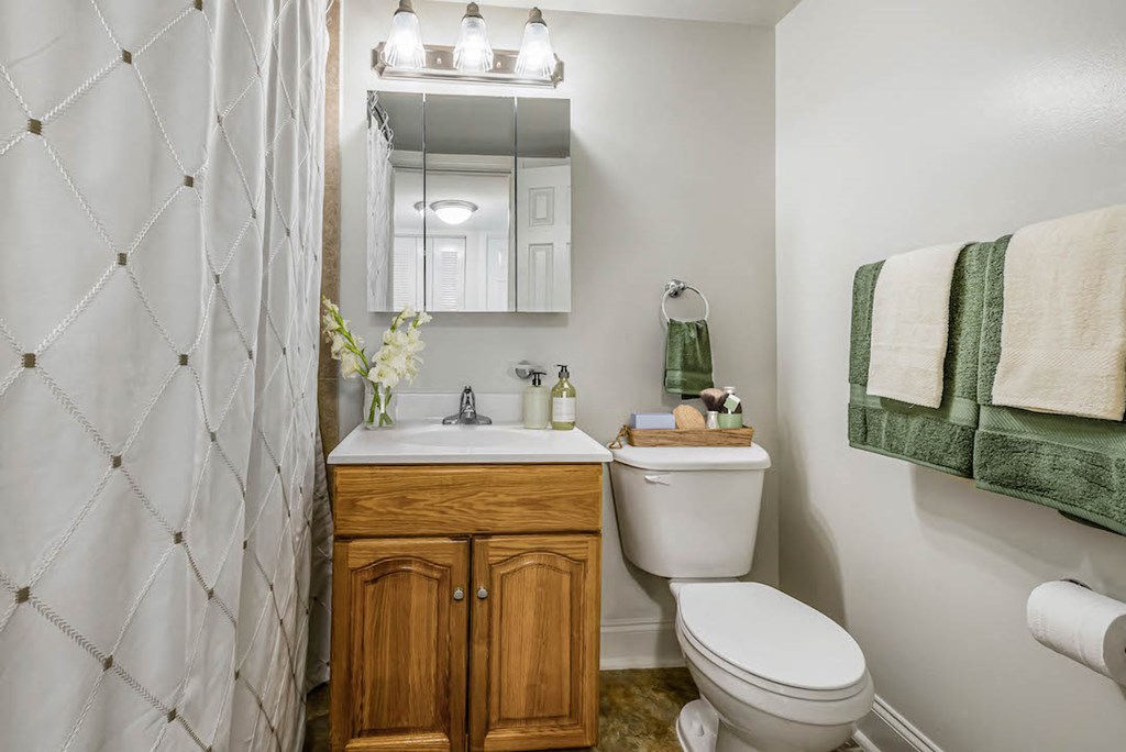 a bathroom with a toilet and a sink and a mirror
