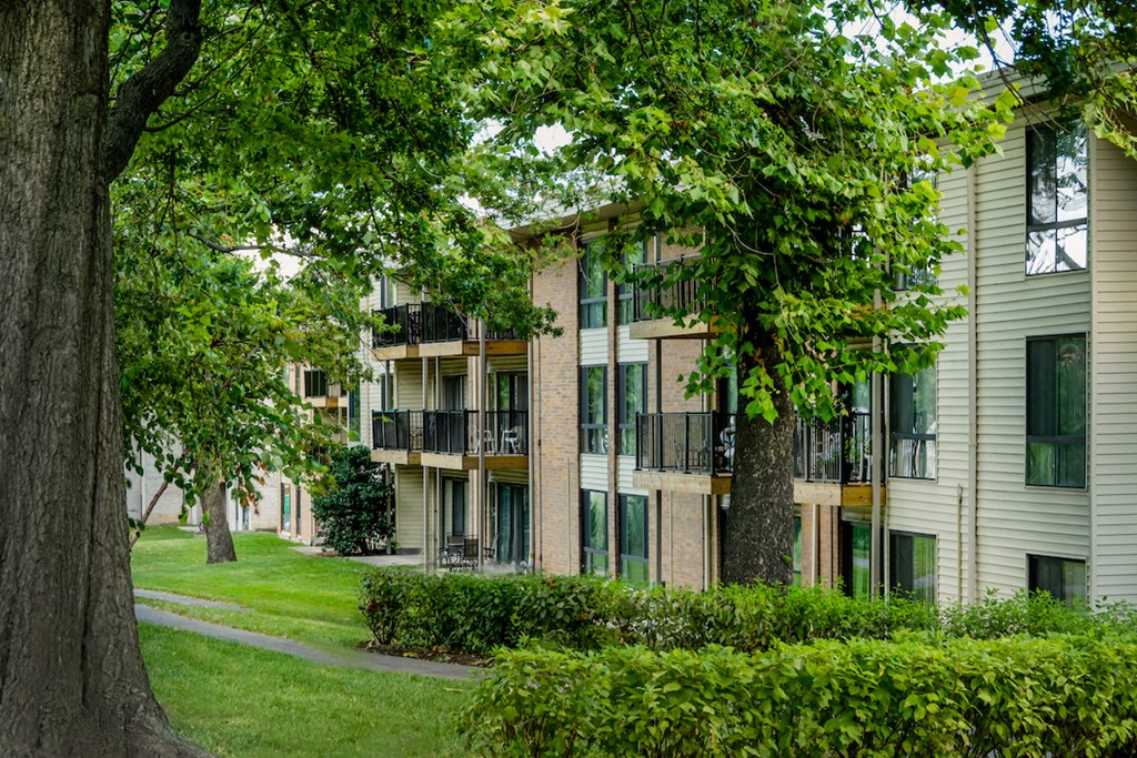 our apartments are located in a quiet area with trees and grass