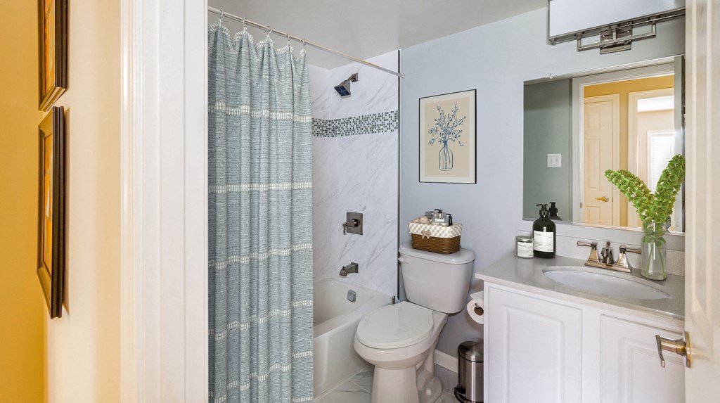 a bathroom with a shower toilet and sink