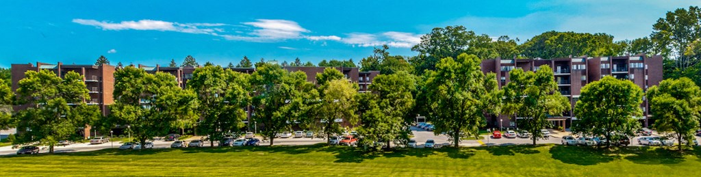 a park with trees in front of a building