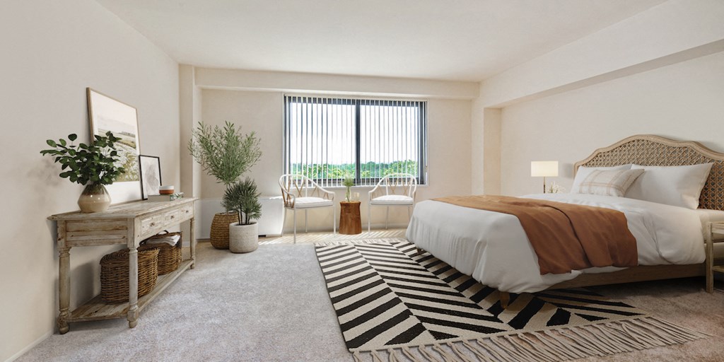 a bedroom with a bed and a rug and a window