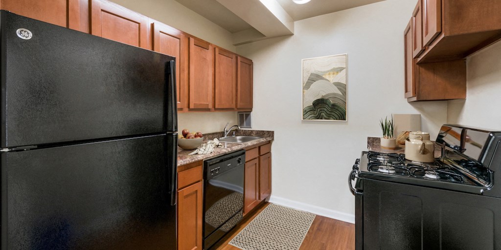 a kitchen with black appliances and a stove and a refrigerator
