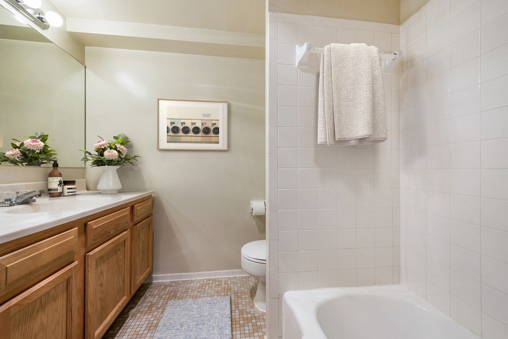 a bathroom with a sink and a toilet and a shower
