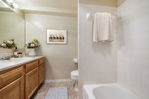 a bathroom with a sink and a toilet and a shower