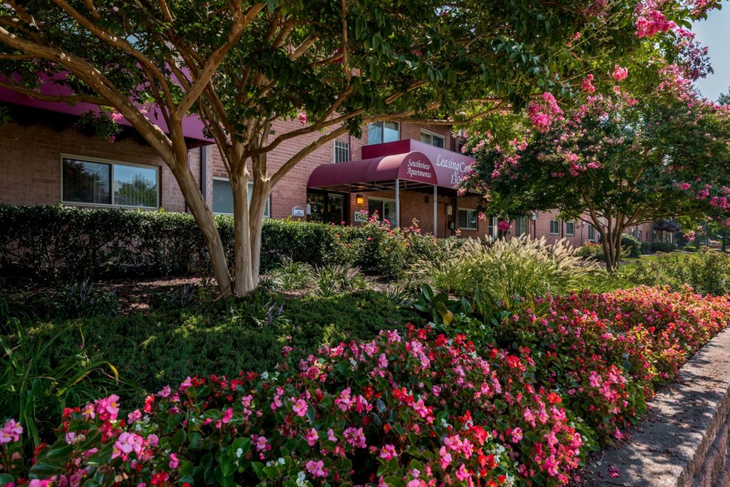 a row of flowers in front of a building