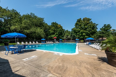 a swimming pool with chairs and umbrellas and trees