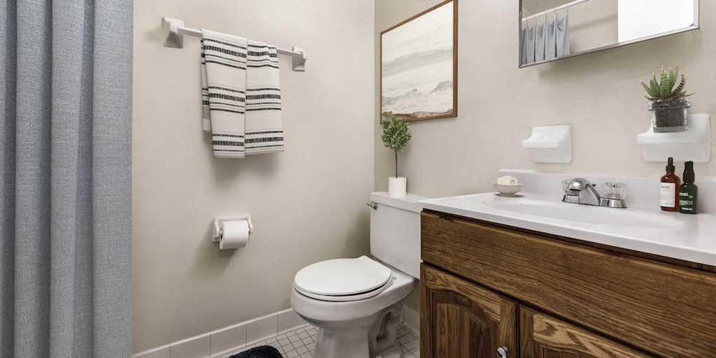 a bathroom with a toilet and a sink and a mirror