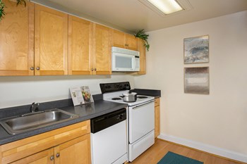 118 N. Howard Street Studio-3 Beds Apartment for Rent - Photo Gallery 12