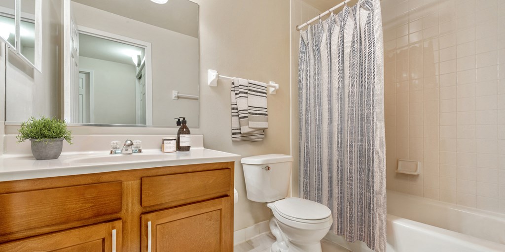 a bathroom with a shower and a toilet and a sink