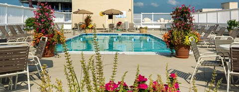 the swimming pool at the resort