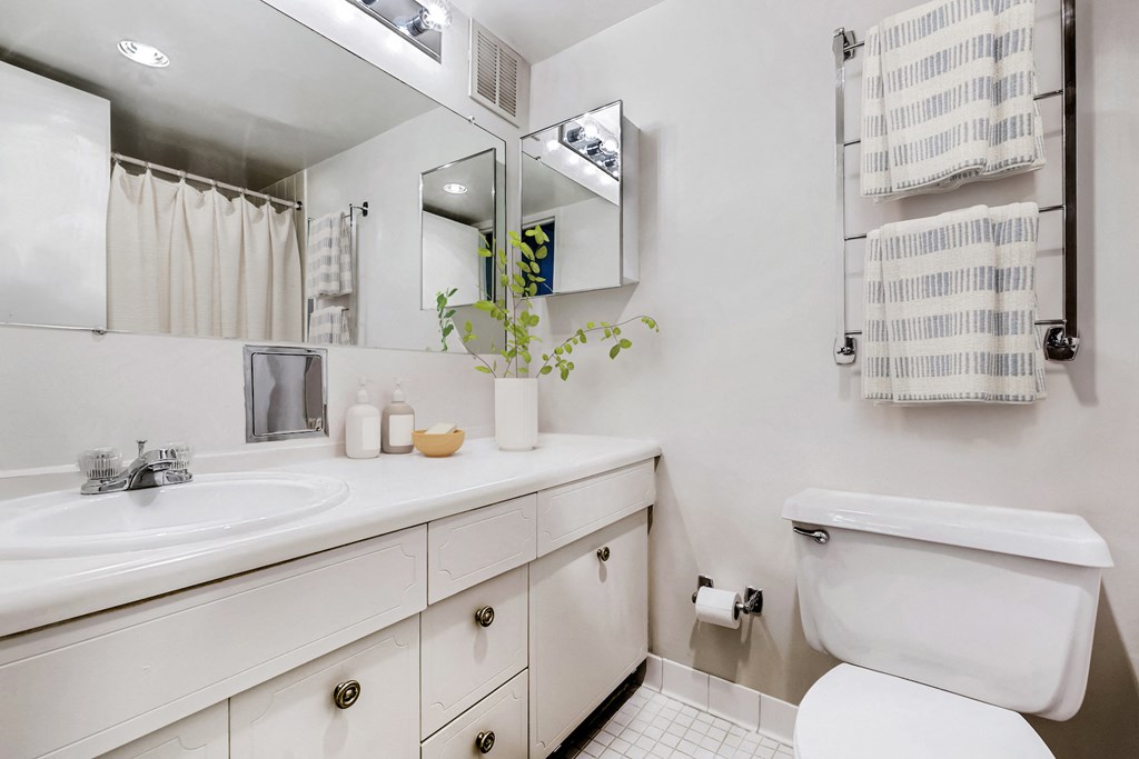 a bathroom with a sink and a toilet and a mirror