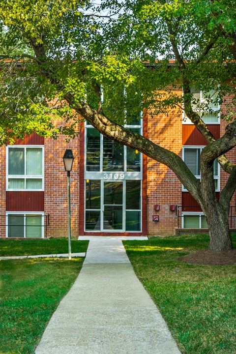 a sidewalk in front of a brick building with a tree