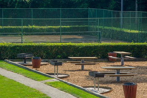 a group of picnic tables in a park