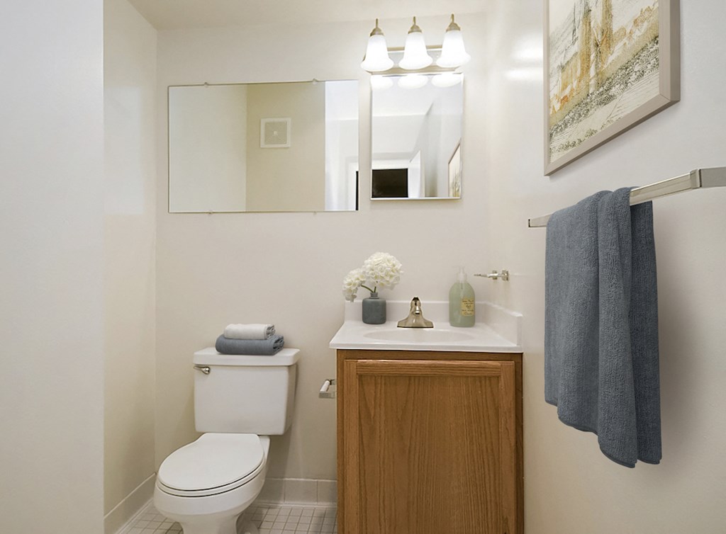 a bathroom with a toilet and a sink and a mirror