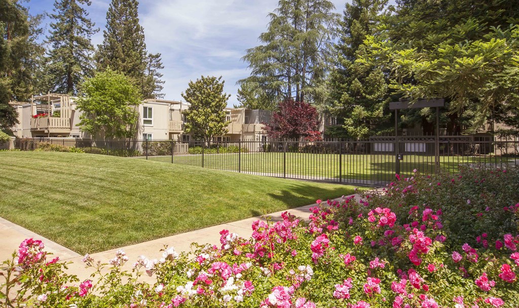 a garden with a lawn and a fence