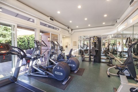 A gym with treadmills, exercise bikes, and other equipment.