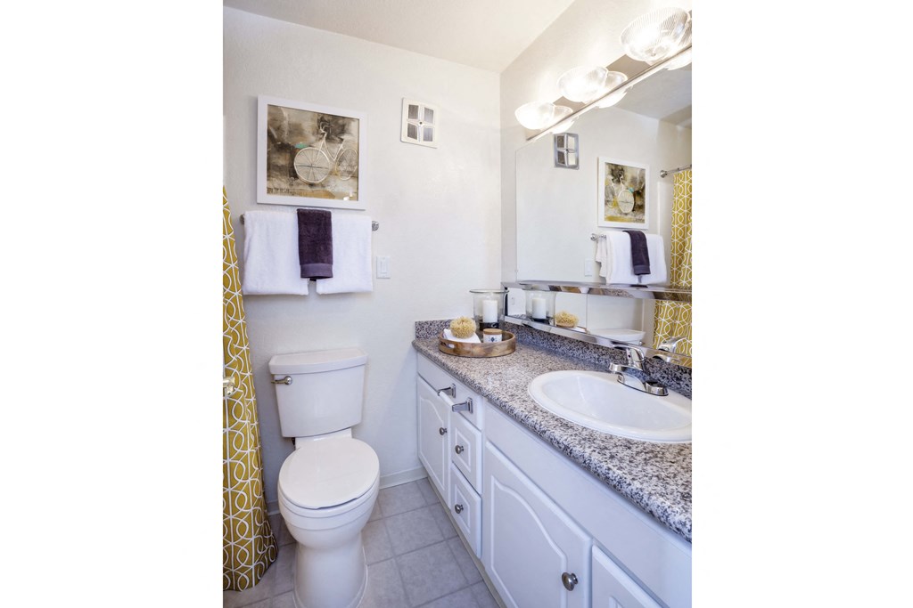 a bathroom with a toilet and a sink and a mirror