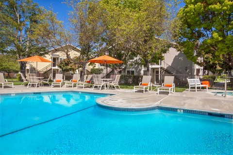 the swimming pool at the apartments for rent