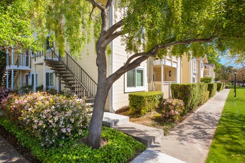 a sidewalk in front of a house with trees and flowers