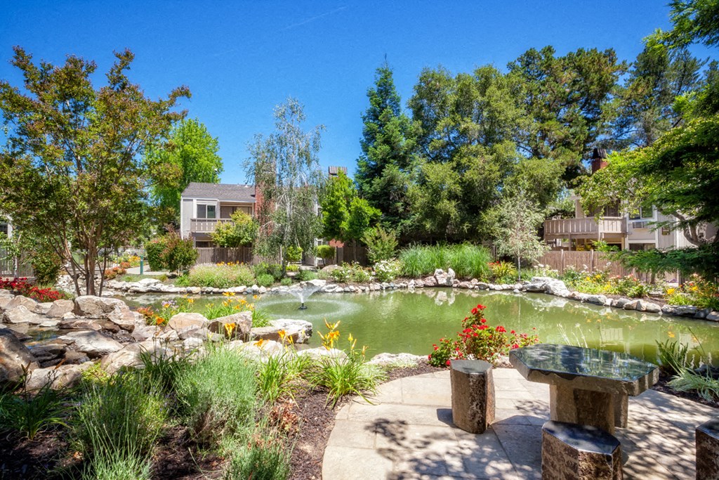 a pond with a house and trees in the background