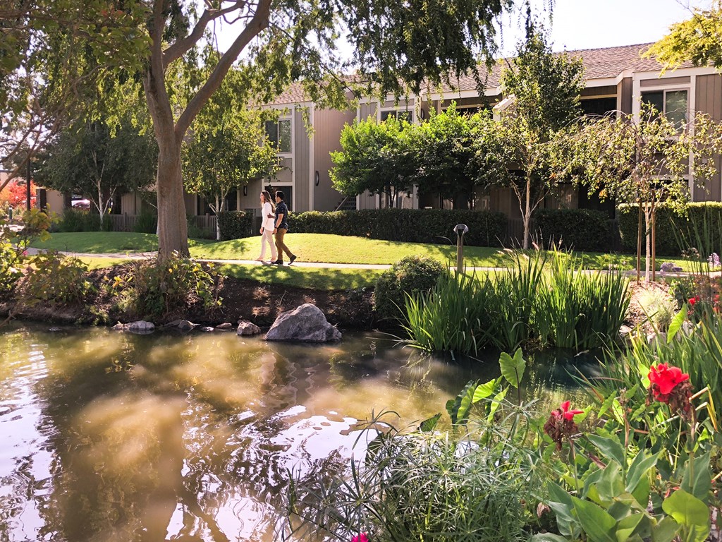 a bride and groom walking on the grass in front of a pond