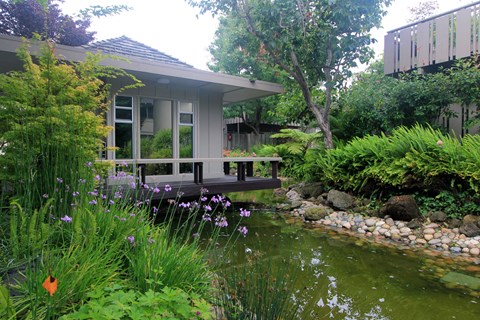 A small pond in front of a house.
