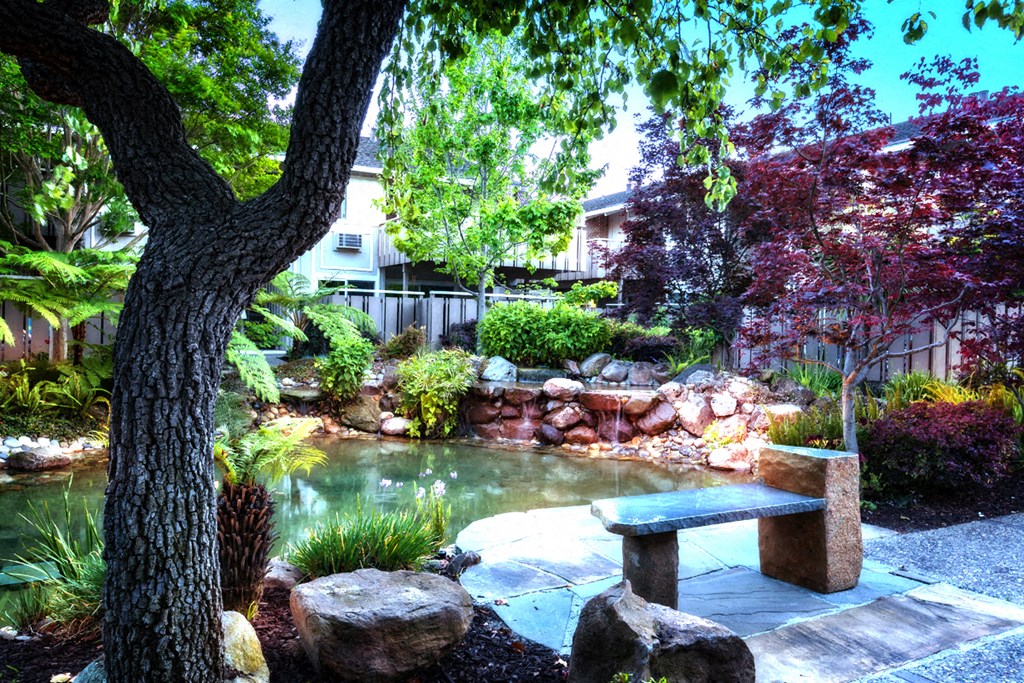 a garden with a pond and a bench