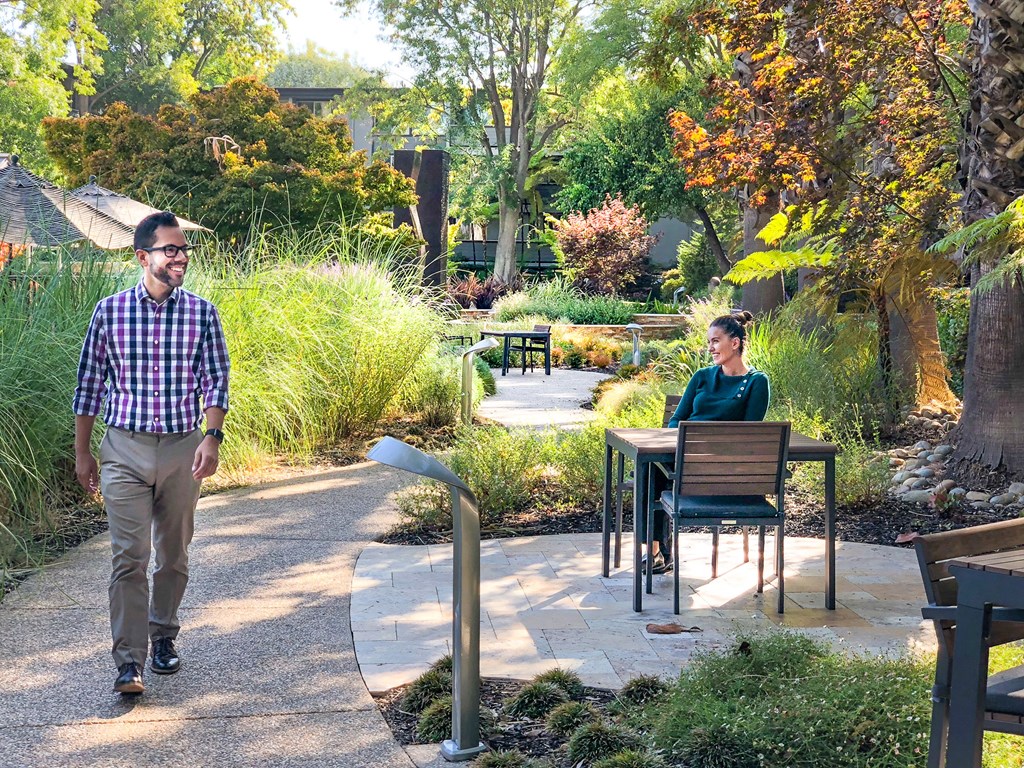 a man and a woman walking through a garden