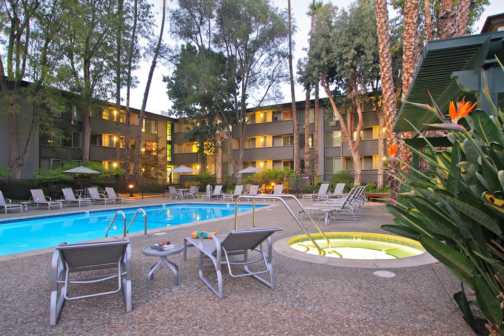 the swimming pool at our hotel