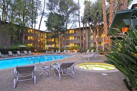 the swimming pool at our hotel