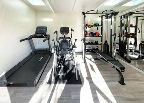 A gym with treadmills, exercise bikes, and weight racks.