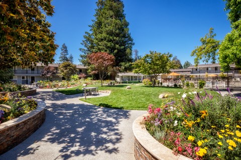 a courtyard with flowers and trees in front of a building