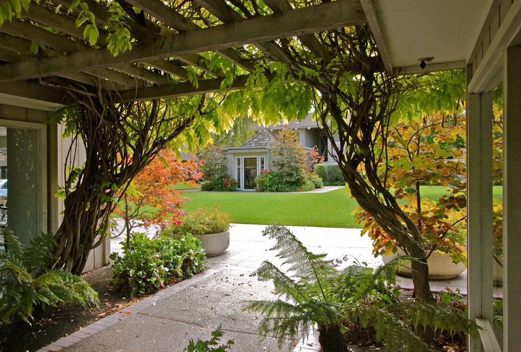 a view of a house from under a porch with trees and plants
