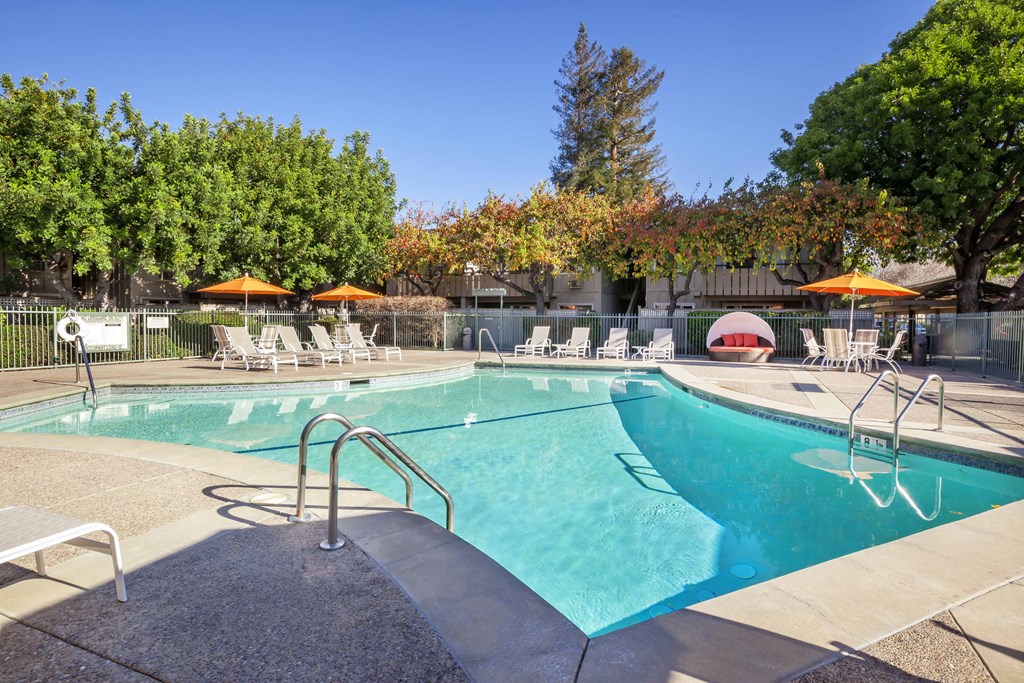 the swimming pool at our hotel