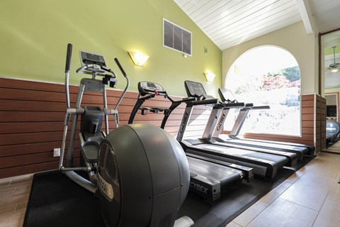 A gym with a treadmill, exercise bike, and a ball.