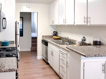 100 Buckingham Drive 1-3 Beds Apartment for Rent - Photo Gallery 6