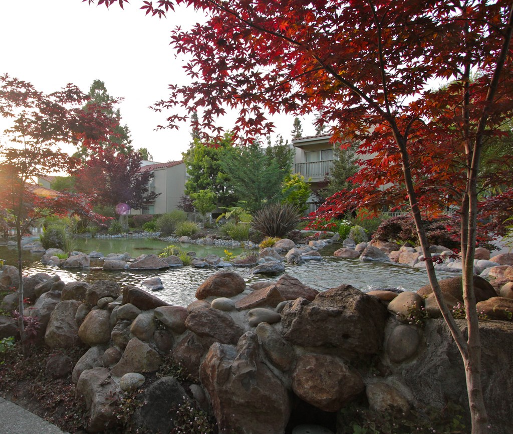 a garden with a stream and rocks
