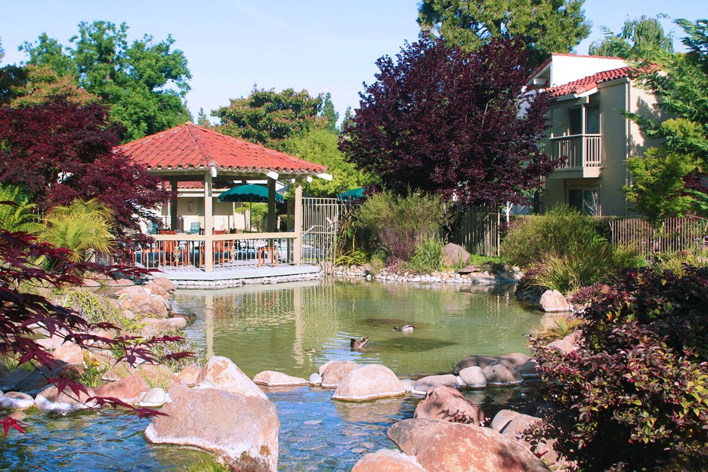 a pond with a gazebo in the middle of a yard