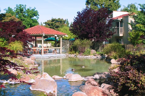 a pond with a gazebo in the middle of a yard