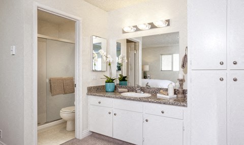 a bathroom with a sink and a toilet and a mirror