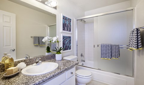 a bathroom with a sink and a shower and a toilet