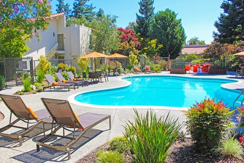 A pool surrounded by chairs and plants.