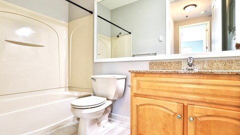 a bathroom with a toilet and a sink and a mirror