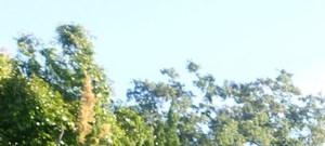 North Valley Property Management Redding Ca North Valley Property Management Redding Ca