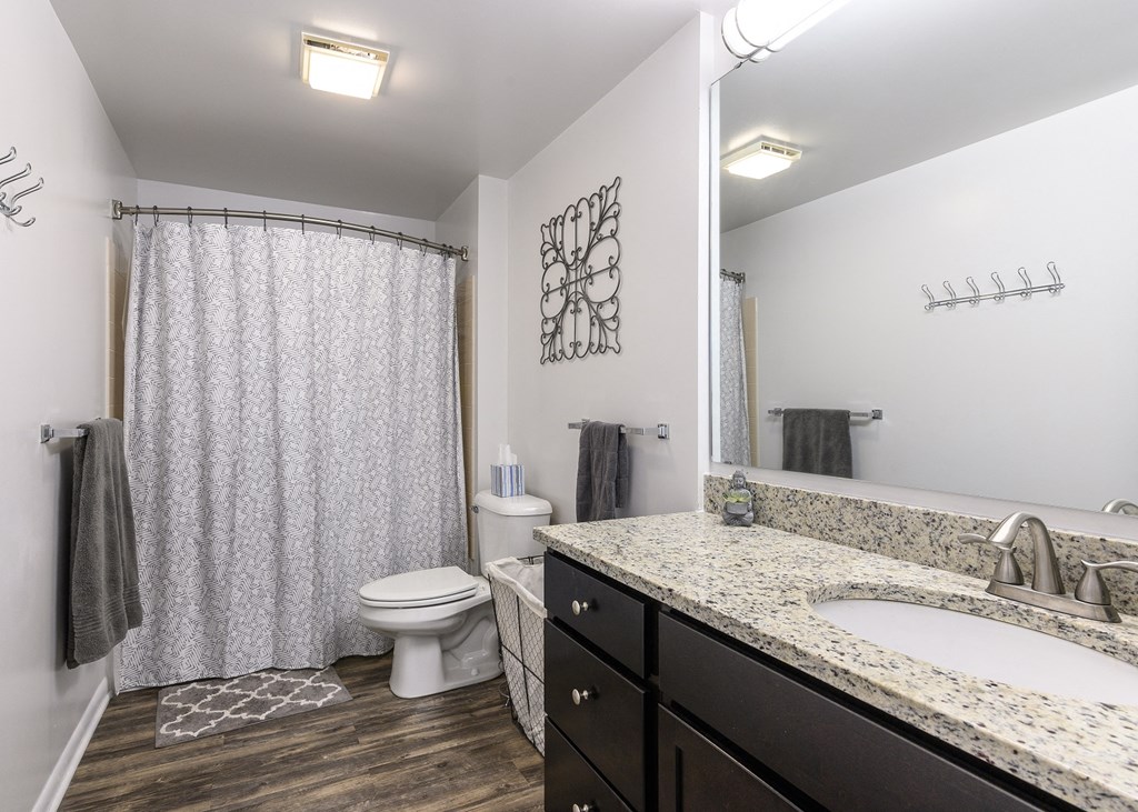 a bathroom with a sink and a toilet and a shower